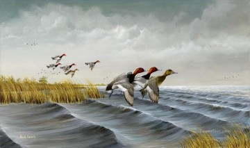 pflaume vögel Ölbilder verkaufen - mallards auf rauem Wasser Zuflucht Vögel
